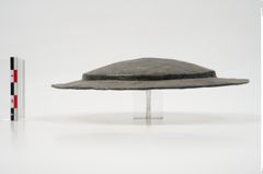 Foto von Bronzephalere (NHMW-PRAE-025405)
